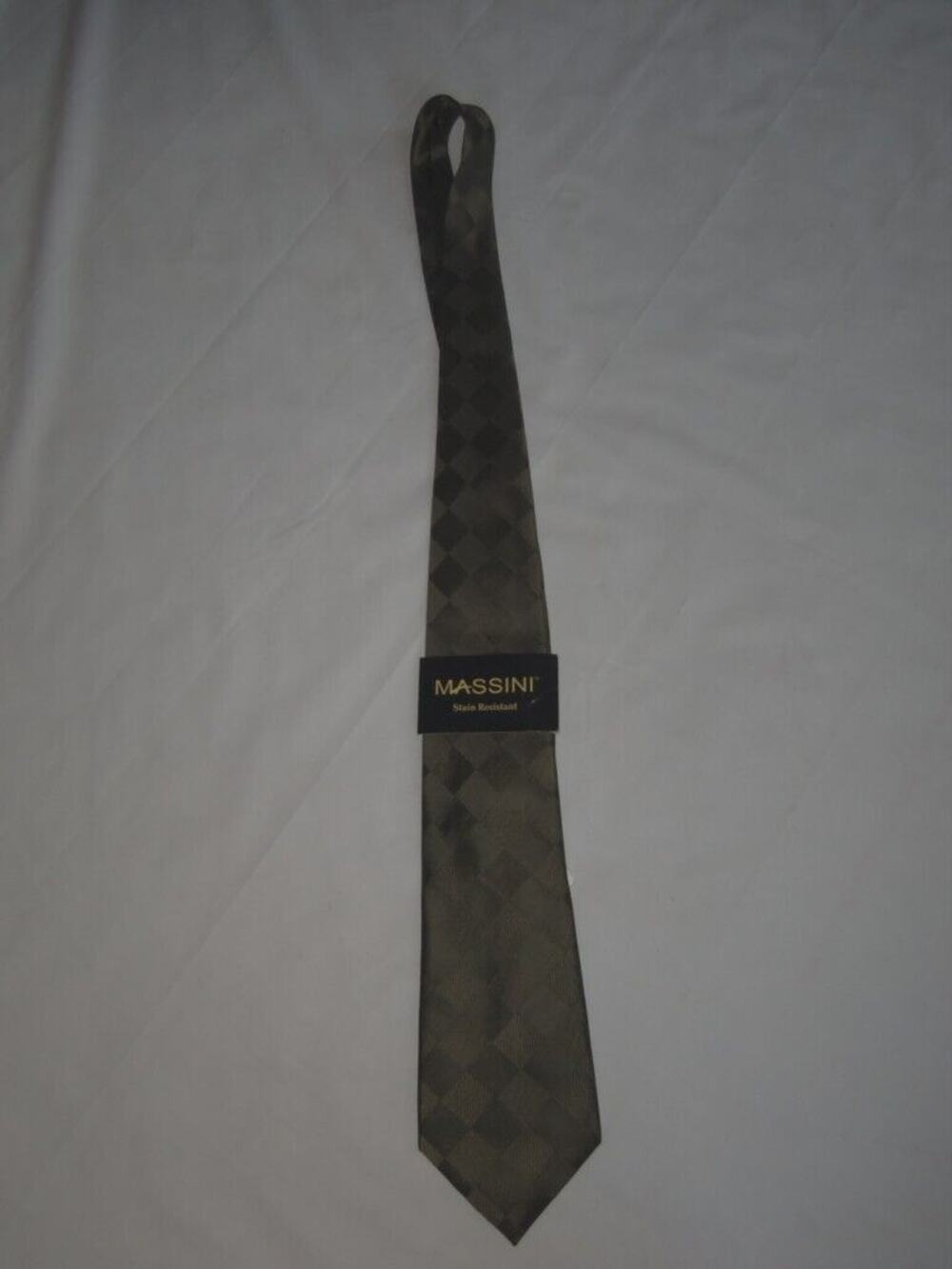 NWT Massini Silk Tie Stain Resistant -0812T20